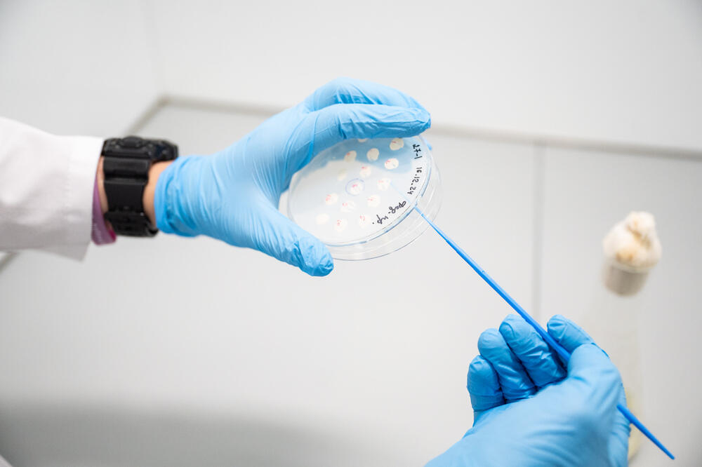 В НИТУ МИСИС разработали инновационный гель для борьбы с кариесом